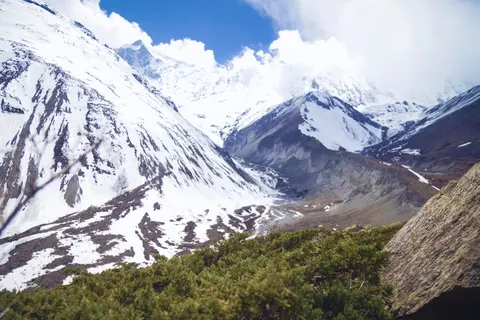 والپیپر پلنگ برفی با کیفیت 4K · animals · 3840×2560