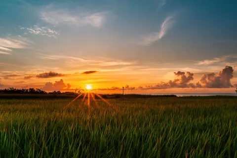 Landelijk Veld 4K-achtergrond · nature · 3840×2560
