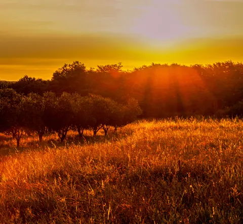 Landelijk Veld 4K-achtergrond · nature · 3840×3538