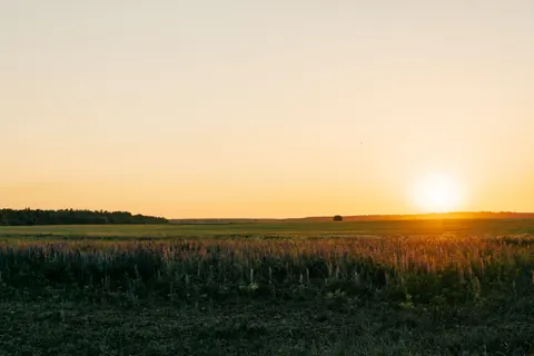 Landelijk Veld 4K-achtergrond · nature · 3840×2560