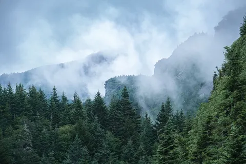 Foggy Valley 4K Wallpaper · mountains · 3840×2560