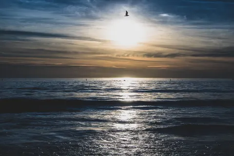 والپیپر دریای آرام با کیفیت 4K · ocean · 3840×2560