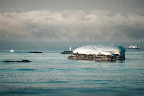 Whale 4K Wallpaper · ocean · 3840×2560