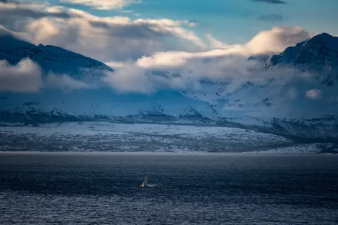 Whale 4K Wallpaper · ocean · 3840×2560