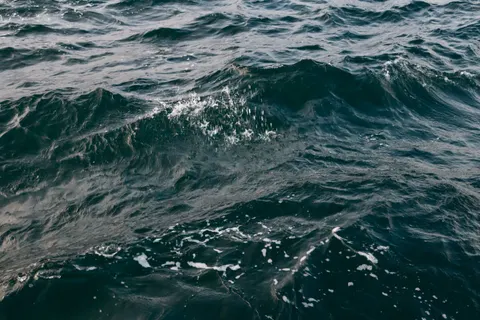 Tapeta Wieloryb 4K · ocean · 3840×2560