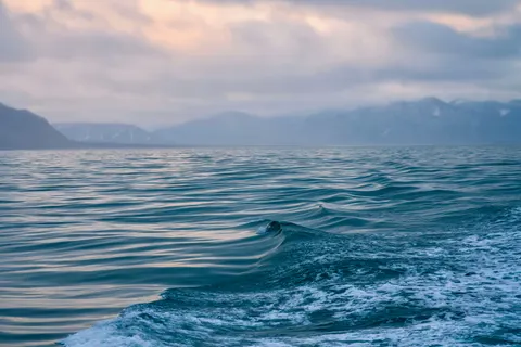 Wal 4K Hintergrundbild · ocean · 3840×2561