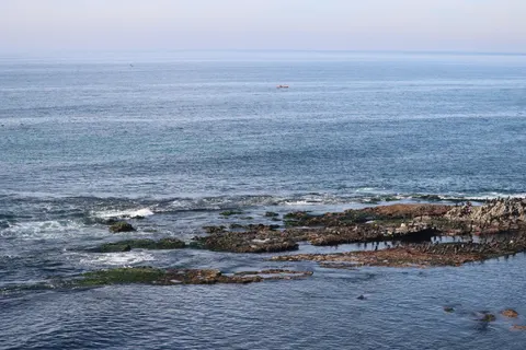 Whale 4K Wallpaper · ocean · 3840×2560