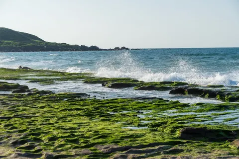 海の泡 4K壁紙 · ocean · 3840×2560