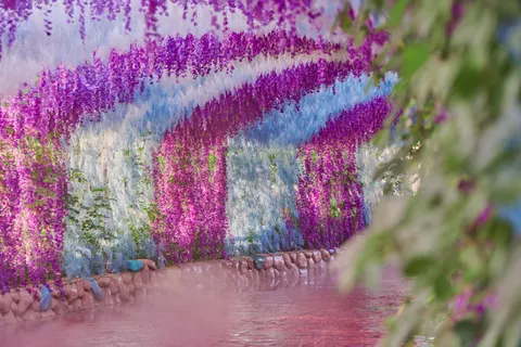 विस्टेरिया 4K वॉलपेपर · flowers · 3840×2560