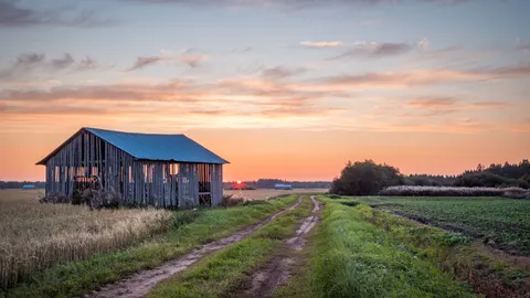 Landelijk Veld 4K-achtergrond · nature · 3840×2160