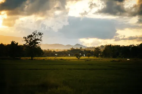 Landelijk Veld 4K-achtergrond · nature · 3840×2560