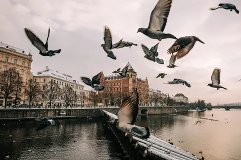 Prague Rooftops 4K Wallpaper · city · 3840×2562