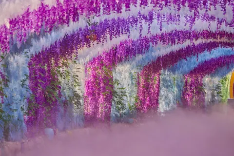 विस्टेरिया 4K वॉलपेपर · flowers · 3840×2560