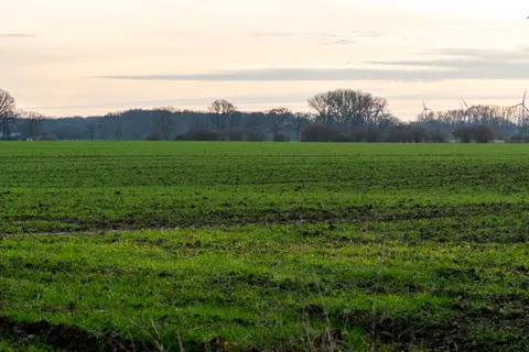 Landelijk Veld 4K-achtergrond · nature · 3840×2560