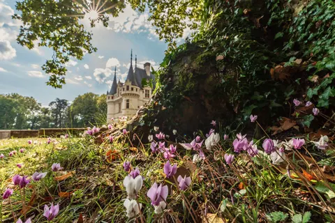 Medieval Castle 4K Wallpaper · architecture · 3840×2561