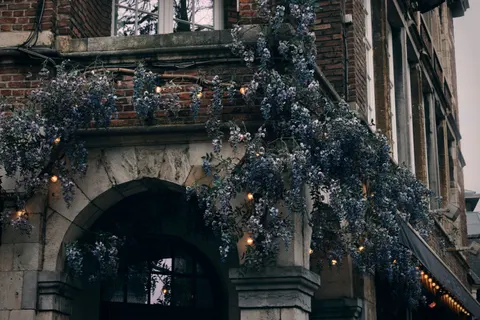 Fondo de pantalla Glicina 4K · flowers · 3840×2560