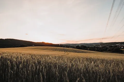 Landelijk Veld 4K-achtergrond · nature · 3840×2560