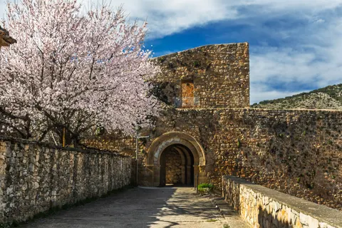 Wallpaper Pohon Sakura 4K · flowers · 3840×2560