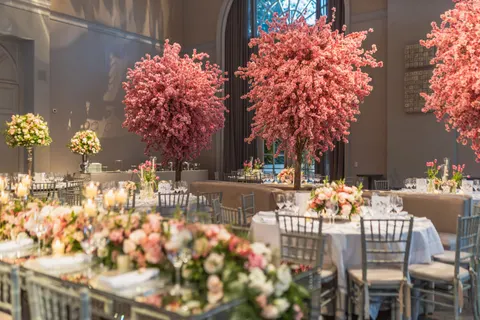 والپیپر درخت شکوفهٔ گیلاس با کیفیت 4K · flowers · 3840×2560