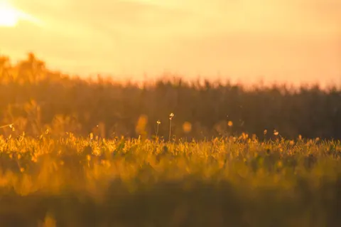 Landelijk Veld 4K-achtergrond · nature · 3840×2553