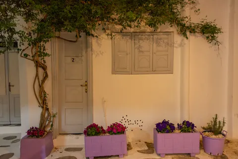 Fond d'écran Glycine 4K · flowers · 3840×2563