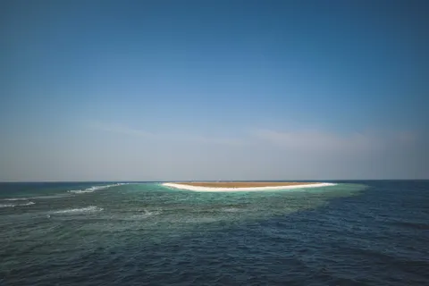 Tapeta Ryby rafowe 4K · ocean · 3840×2560