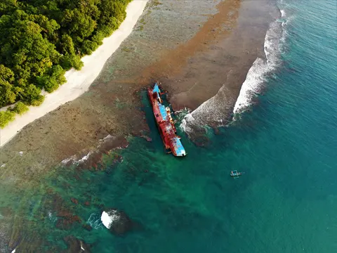 خلفية أسماك الشعاب بدقة 4K · ocean · 3840×2880