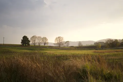Wallpaper Ladang Pedesaan 4K · nature · 3840×2561