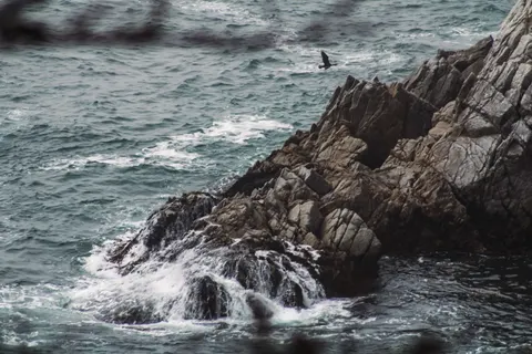 والپیپر نهنگ با کیفیت 4K · ocean · 3840×2560