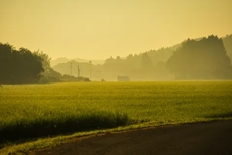Landelijk Veld 4K-achtergrond · nature · 3840×2560