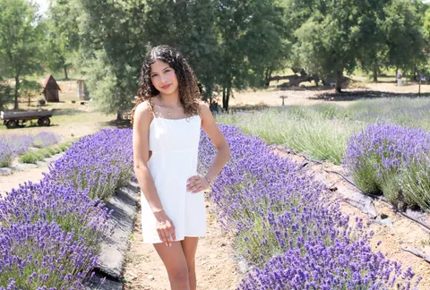 Fondo de pantalla Campo de lavanda 4K · flowers · 3840×2592