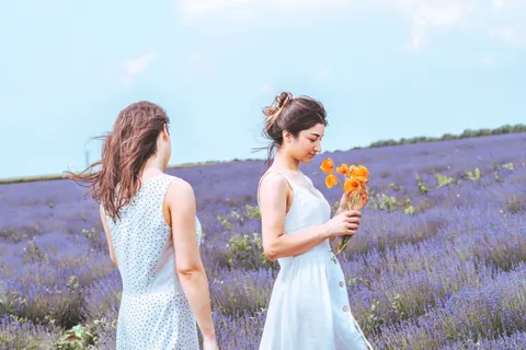 خلفية حقل الخزامى بدقة 4K · flowers · 3840×2560