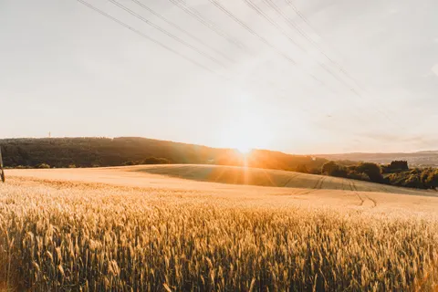 Landelijk Veld 4K-achtergrond · nature · 3840×2560