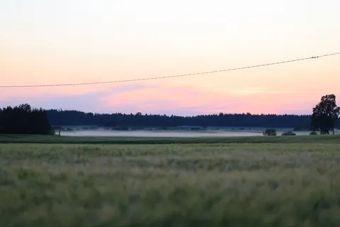 Landelijk Veld 4K-achtergrond · nature · 3840×2561