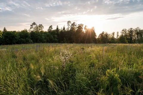Landelijk Veld 4K-achtergrond · nature · 3840×2560