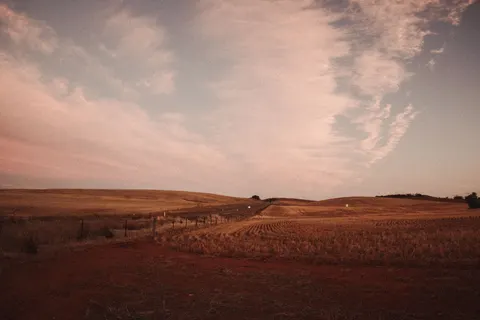 Landelijk Veld 4K-achtergrond · nature · 3840×2560