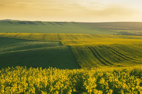 Landelijk Veld 4K-achtergrond · nature · 3840×2560