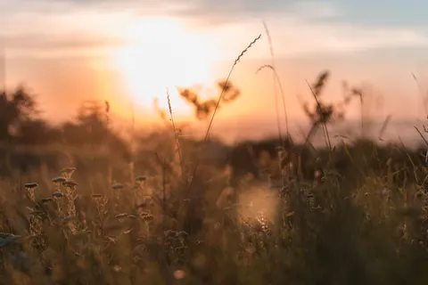 Landelijk Veld 4K-achtergrond · nature · 3840×2560