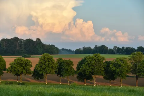 Papel de parede Campo Rural 4K · nature · 3840×2560