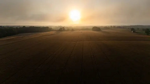 Landelijk Veld 4K-achtergrond · nature · 3840×2160