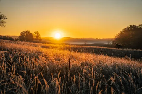 Landelijk Veld 4K-achtergrond · nature · 3840×2560