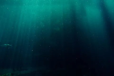 Tapeta Wieloryb 4K · ocean · 3840×2560