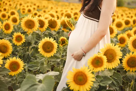 向日葵田 4K壁纸 · flowers · 3840×2560