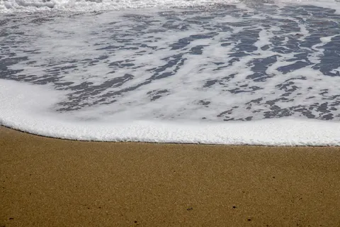 والپیپر کف دریا با کیفیت 4K · ocean · 3840×2561