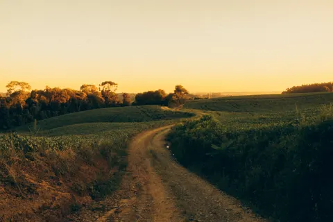 Landelijk Veld 4K-achtergrond · nature · 3840×2560
