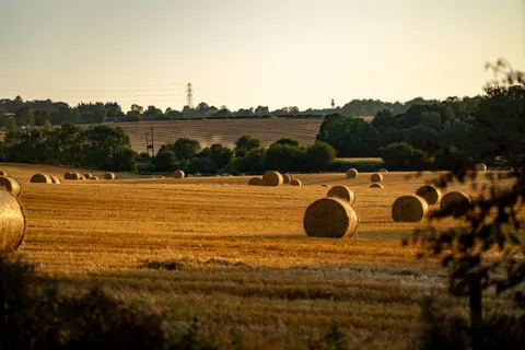 Landelijk Veld 4K-achtergrond · nature · 3840×2560