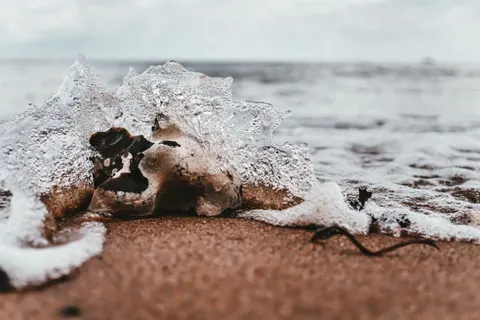 والپیپر کف دریا با کیفیت 4K · ocean · 3840×2560
