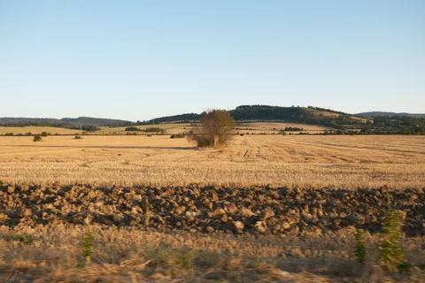 Landelijk Veld 4K-achtergrond · nature · 3840×2560