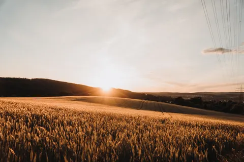 Landelijk Veld 4K-achtergrond · nature · 3840×2560