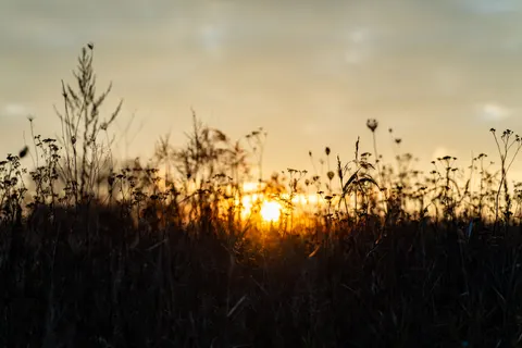 Landelijk Veld 4K-achtergrond · nature · 3840×2560